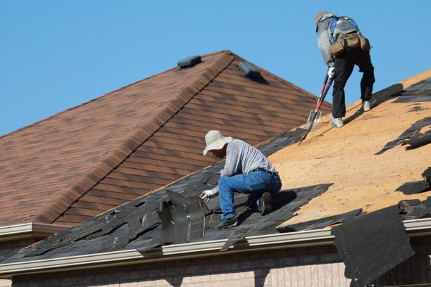 Best Gutter Installation and Repair  in West Yellowstone, MT