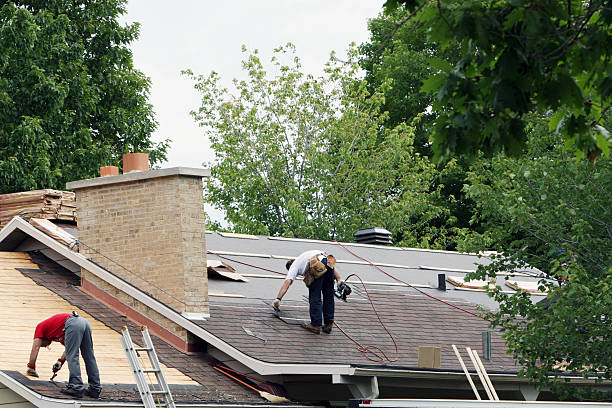 Best Roof Moss and Algae Removal  in West Yellowstone, MT